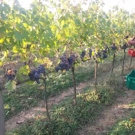 Podere Dell'anselmo Farm stay
