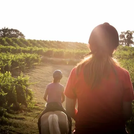 Farm stay Podere Dell'anselmo