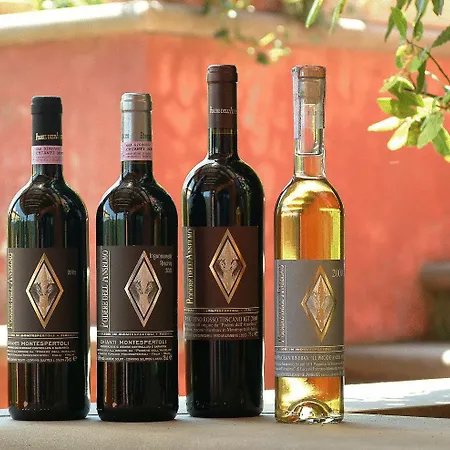 Podere Dell'anselmo Montespertoli