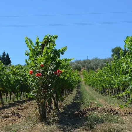 Alloggio per agriturismo Podere Dell'anselmo