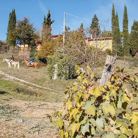 Farm stay Podere Dell'anselmo Montespertoli