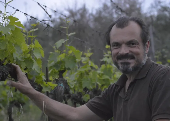 Podere Dell'anselmo Vakantieboerderij *