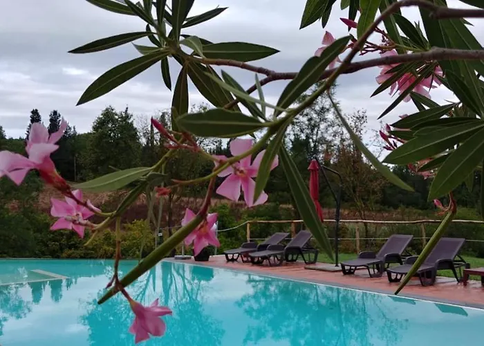 Podere Dell'anselmo *