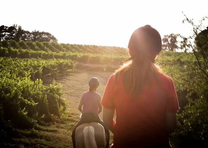 Vakantieboerderij Podere Dell'anselmo