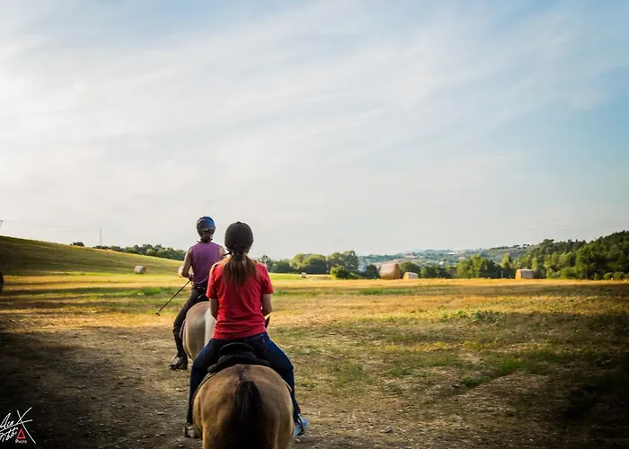 Vakantieboerderij Podere Dell'anselmo