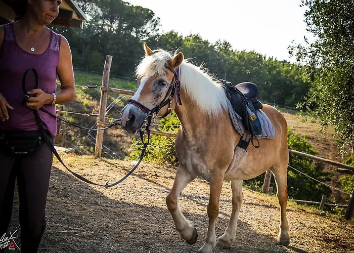 Podere Dell'anselmo Montespertoli
