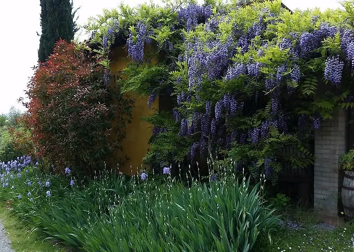 Podere Dell'anselmo Montespertoli