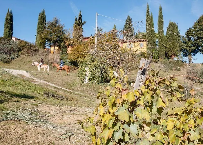 Podere Dell'anselmo *