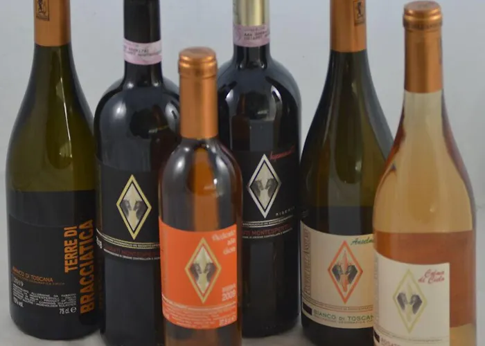 Vakantieboerderij Podere Dell'anselmo Montespertoli