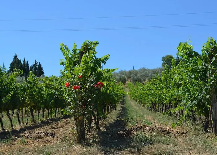 Vakantieboerderij Podere Dell'anselmo