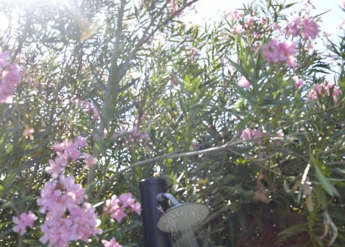 Vakantieboerderij Podere Dell'anselmo Montespertoli